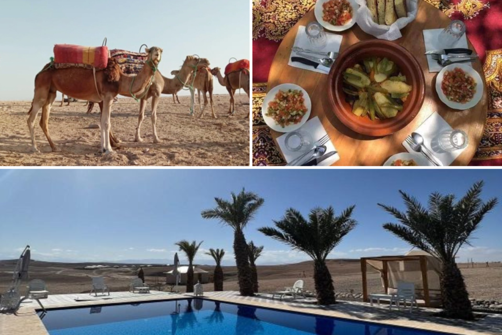 Camel & Lunch and Pool