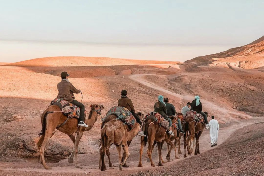 Camel Ride Agafay desert marrakech