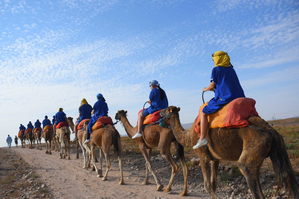 Camel Ride Marrakech