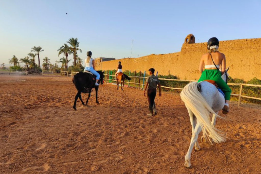 Horseback Riding Tours