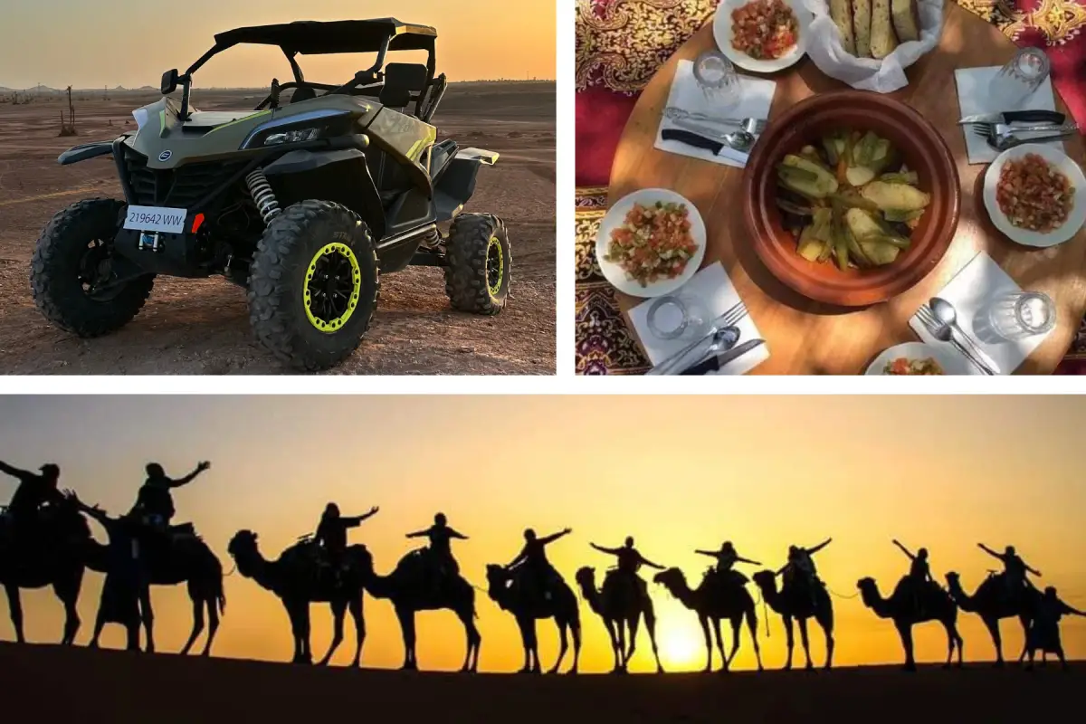 Buggy Camel Rides and Dinner