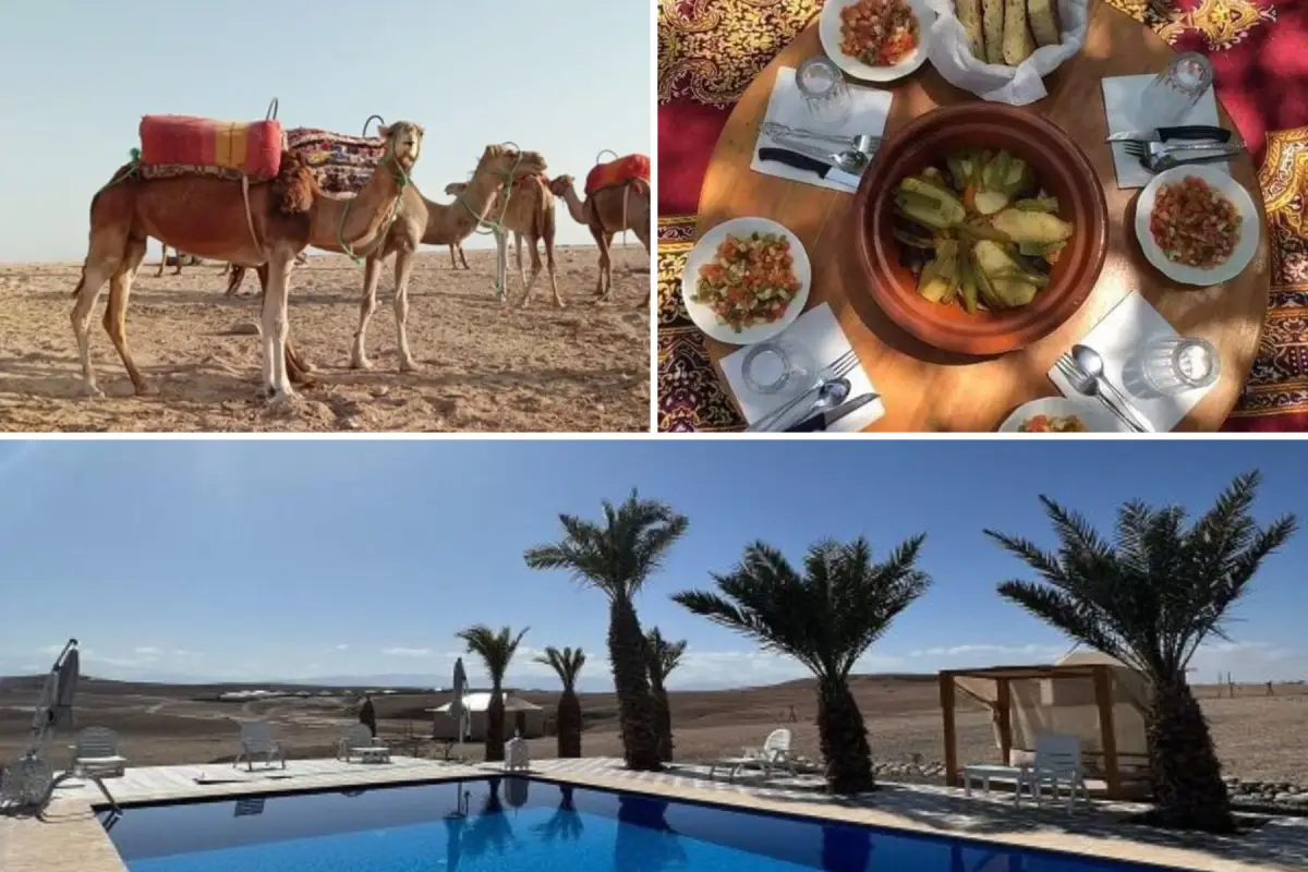 Camel-Lunch-and-Pool