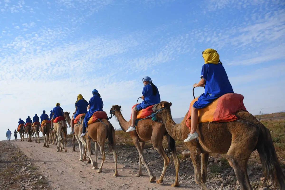 Camel Ride marrakech