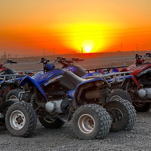 Quad Excursion in the Palmeraie Desert in Marrakech