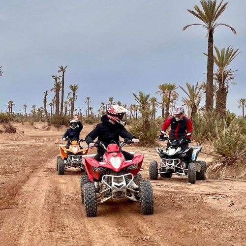 Quad Excursion in the Palmeraie Desert in Marrakech