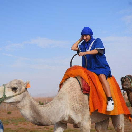 camel-ride-in-the-palmeraie-of-marrakech (1)