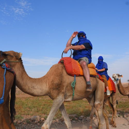 camel-ride-in-the-palmeraie-of-marrakech (2)