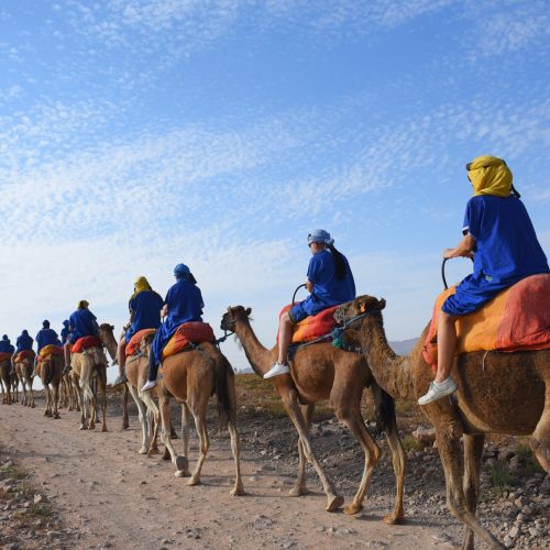 camel-ride-in-the-palmeraie-of-marrakech (3)