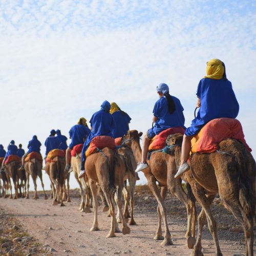 camel-ride-in-the-palmeraie-of-marrakech (4)