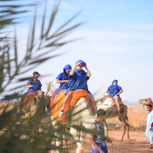 camel-ride-in-the-palmeraie-of-marrakech (6)